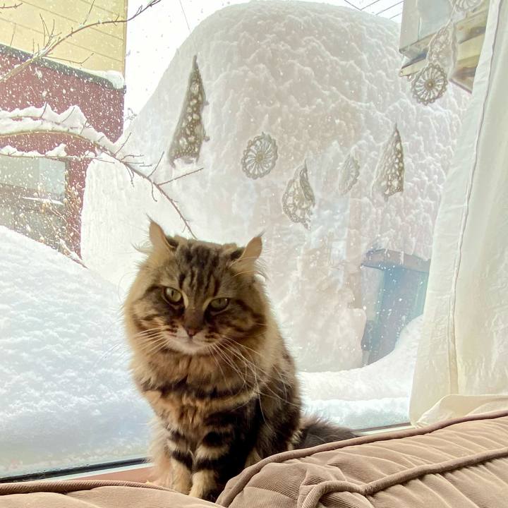 Aaa38273 75d9 452a 8a6c afdb0a913569 1644146147198