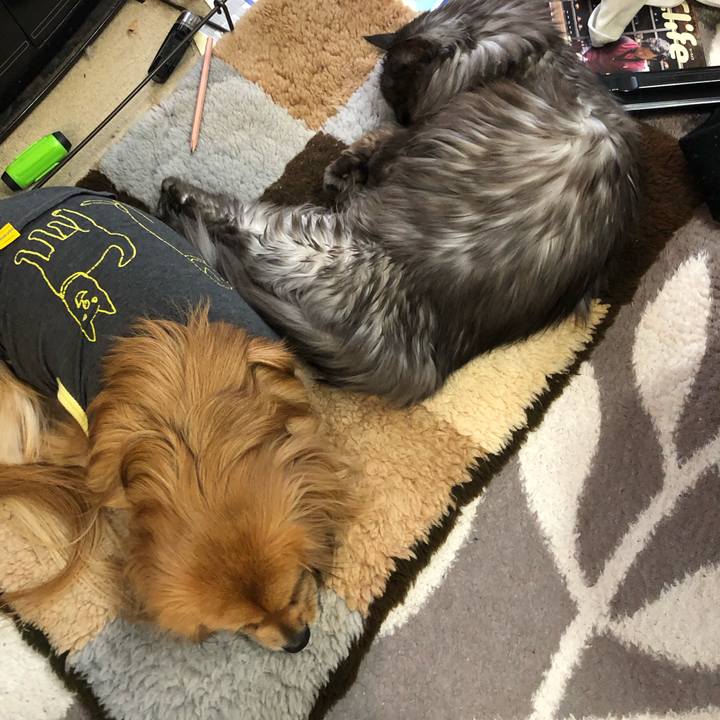 Aaa3f974 d798 4d03 a029 bb7dca95c600 1548463403236