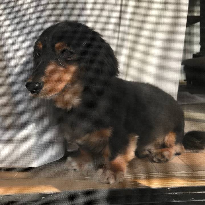 Aaa3fc30 c041 4366 9095 75fc17419d9a 1527545691009