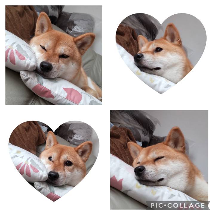 Aaa3fd0c 035e 4945 b51f 4fa7adba5712 1690070719079