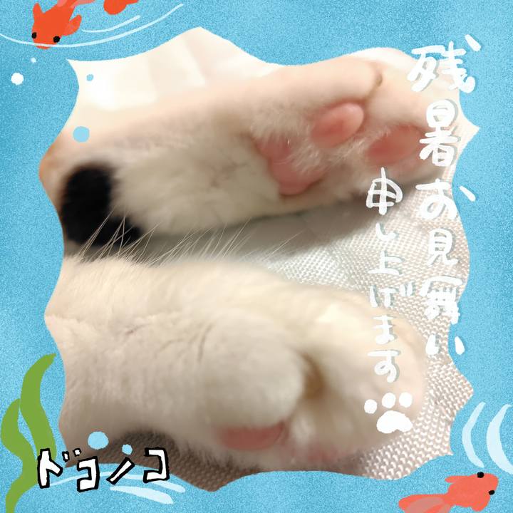 Aaa41e71 3f5e 4b81 8f5a edf76fe43bd4 1723555693229