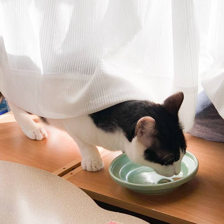 Aaa4407f 939a 4572 b614 1a86247bacab 1573090936629