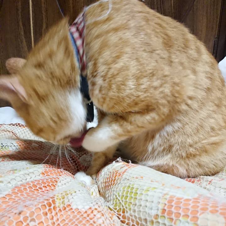 Aaa4449c fc1c 4266 93ea f4324cbaf2d0 1568034764001