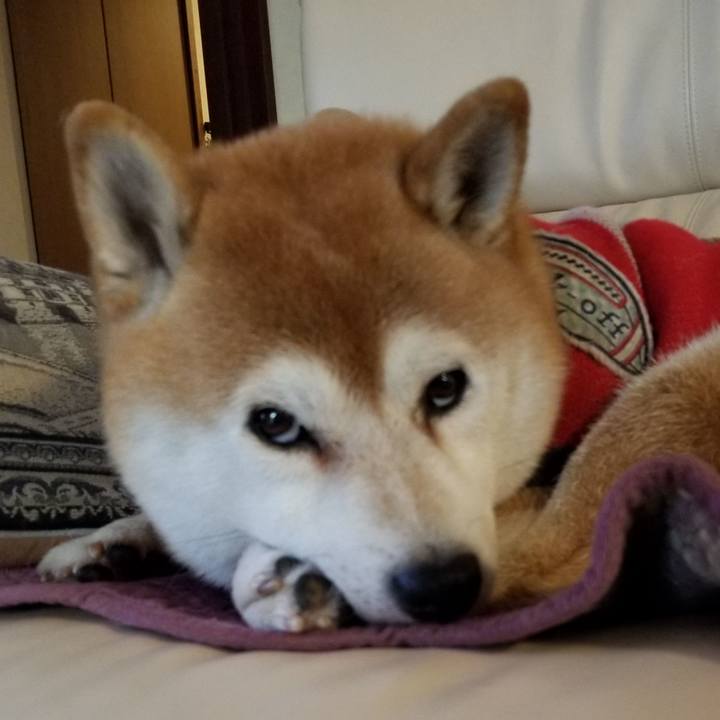 Aaa44d02 7e6d 4784 aa21 a8712b1fcc6d 1606605979057