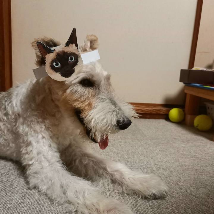 Aaa49032 9fd3 40f3 b743 ad5968cbc73d 1629979933537