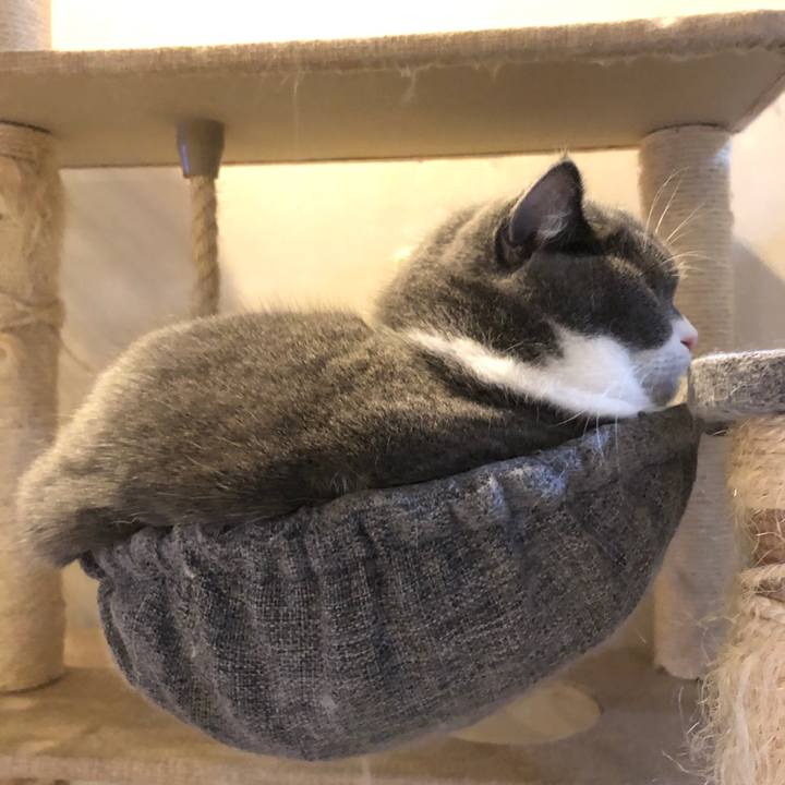 Aaa49f0e 0c1e 42f7 a64a a3c95a6700ac 1546647118412