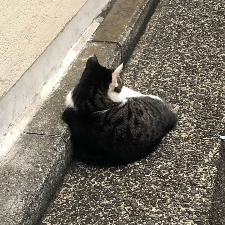 Aaa4b130 0889 4f85 9ca0 198a95d2c663 1600170217083