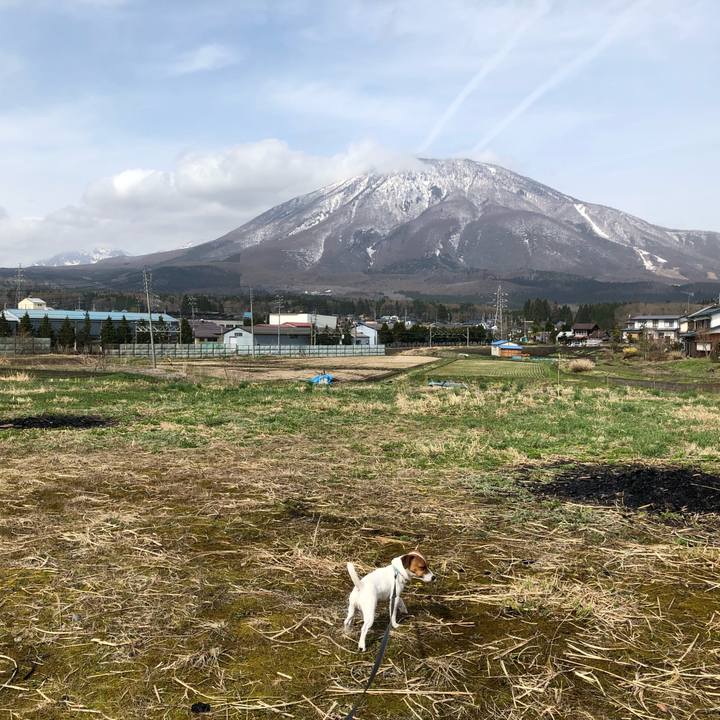 Aaa4ed82 abd8 4916 8bbf 0f00e094dc76 1523960990678