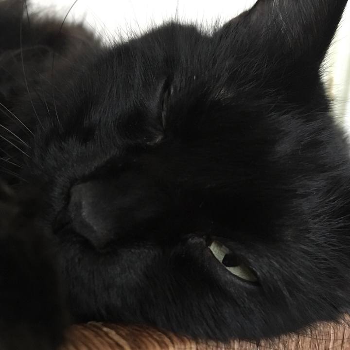 Aaa502b8 ce17 482b bd28 cfd9a0a25e77 1538006266950