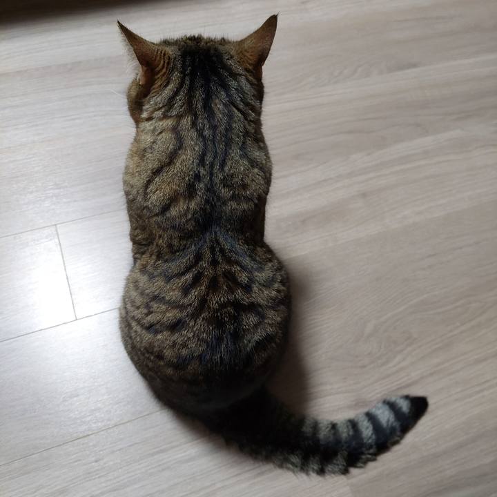 Aaa52cc1 fa5a 4f75 b798 1fdd778d0856 1639599925775