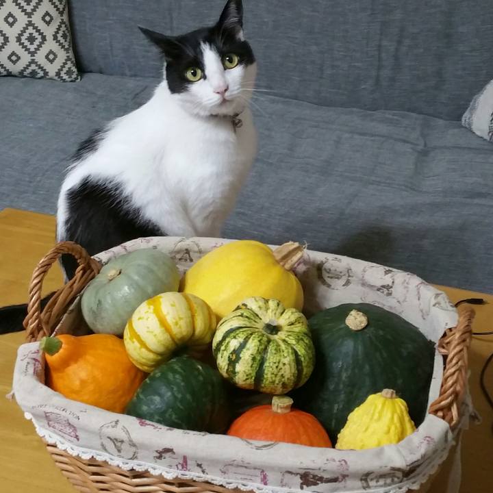 Aaa536e7 2d6a 4383 9cc6 d0732109b771 1568329174458