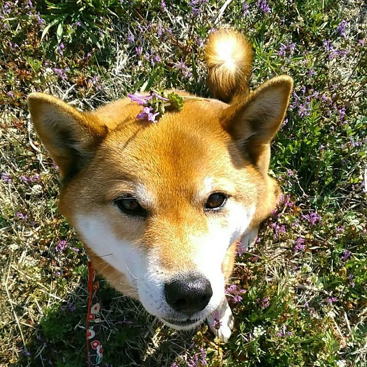 Aaa55679 b35e 4948 91c5 0112397c7c4a 1553041498726