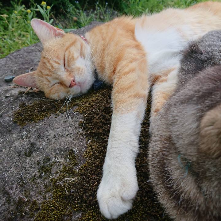 Aaa5706f e3c3 48d0 8197 483d090077e8 1559461352854