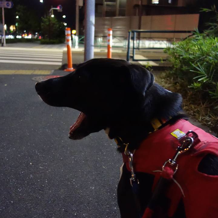 Aaa59325 8525 45e4 9846 644093365dba 1601808305326