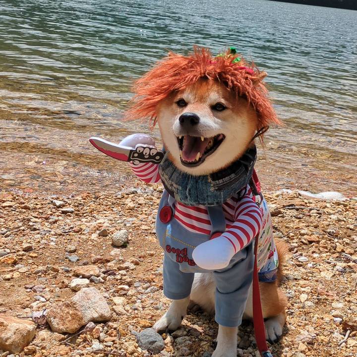 Aaa59b8f 0487 4fd2 a88d 6839e163ddb6 1752065094498