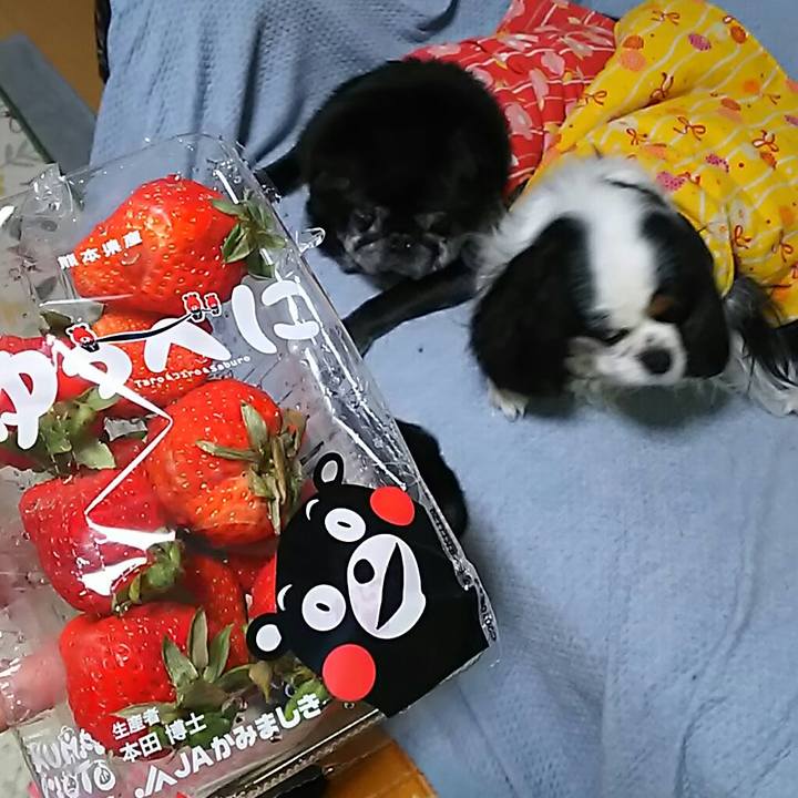 Aaa5c85c 2bd0 431e 8774 0b43bcd2cf58 1549534691487