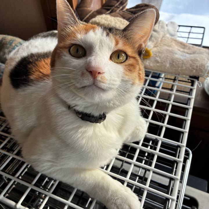 Aaa5e3f6 e2e4 40a4 9496 d59edfe48033 1768625088646