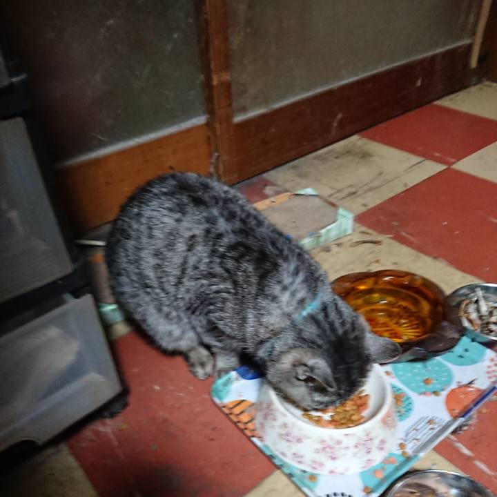 Aaa5f0ed ff11 4149 a541 3cad051ef9a9 1573935627589