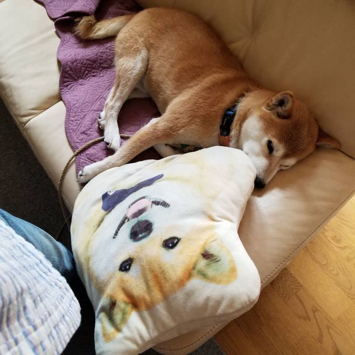 Aaa60dfc 9191 4f65 9e48 42236ed1455a 1564891446632