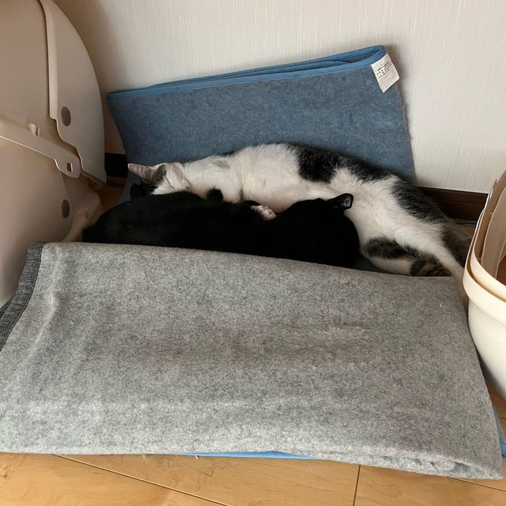 Aaa615ee 98c7 444f afeb 2027aeb56393 1683252421163