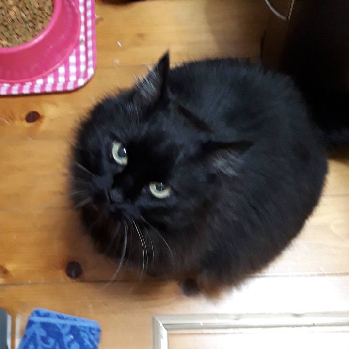 Aaa62133 dca9 438c 8331 609f87190c0a 1524313083161