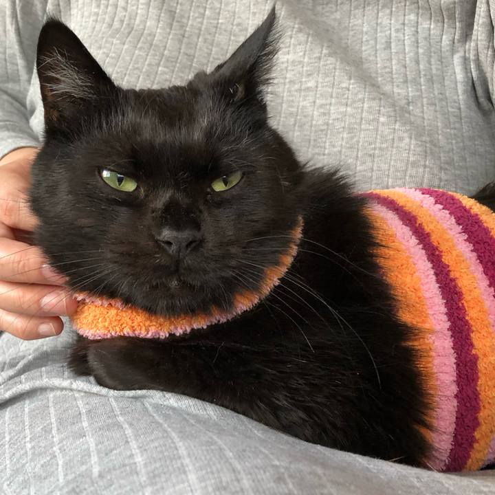 Aaa6299f 72ed 4800 a86a 0d5f58fcbc87 1587975084062