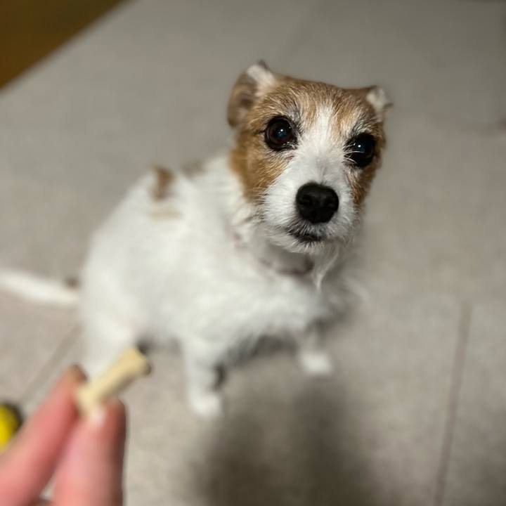 Aaa6452d 6deb 43dc a9dd d8ec73d13602 1701171443982