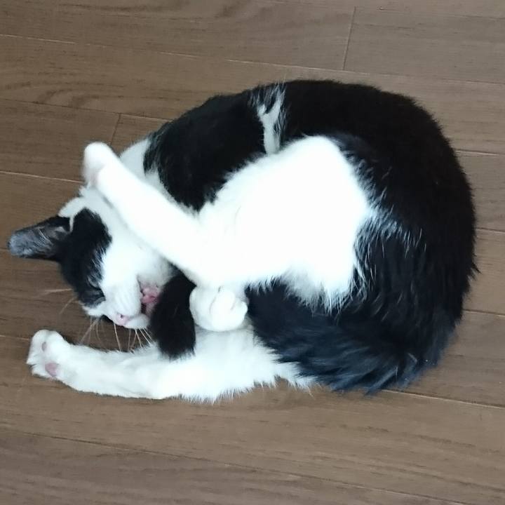 Aaa64998 f134 4b41 891e 0b8e7145c761 1584693673177