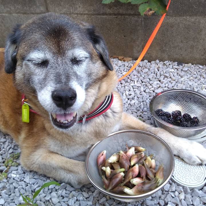 Aaa68661 0e5a 4176 95db 47e76777a903 1564096944274