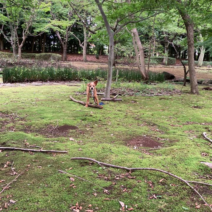 Aaa692cf af60 4355 a339 19e11ffff771 1625009264028