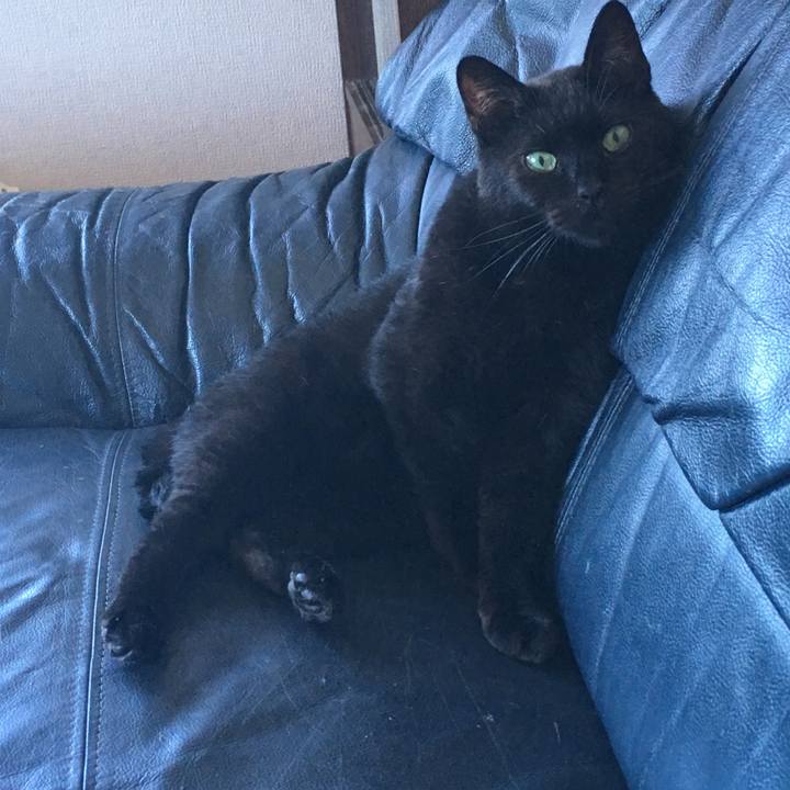 Aaa6c5b1 eb52 4186 ba1f 77054412deff 1532839495108