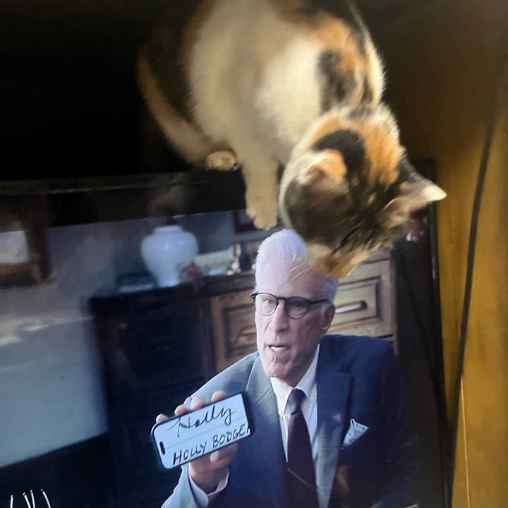 Aaa6e3bf a70d 413b b0a3 20fcc24979e5 1771482526846