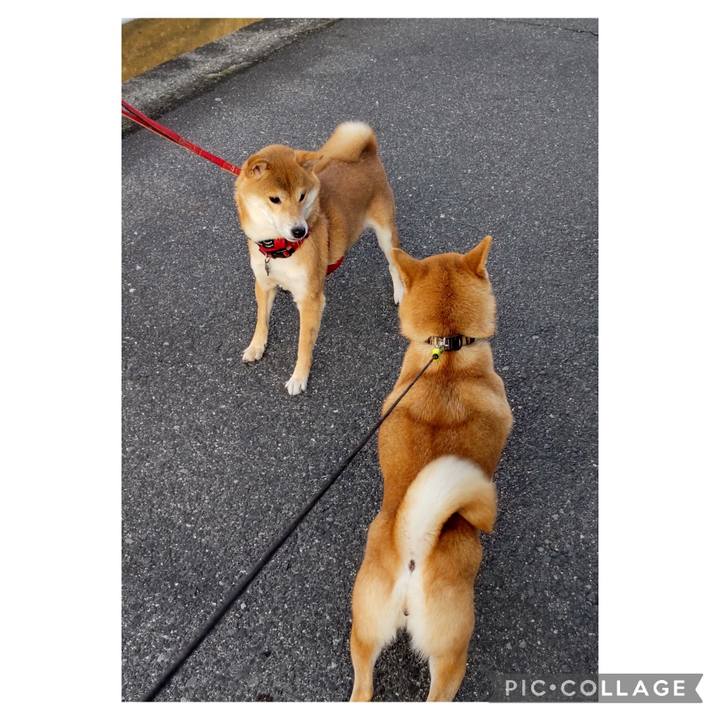 Aaa74cdb 6fb9 45f3 be50 7fcc921ebf42 1704585285718