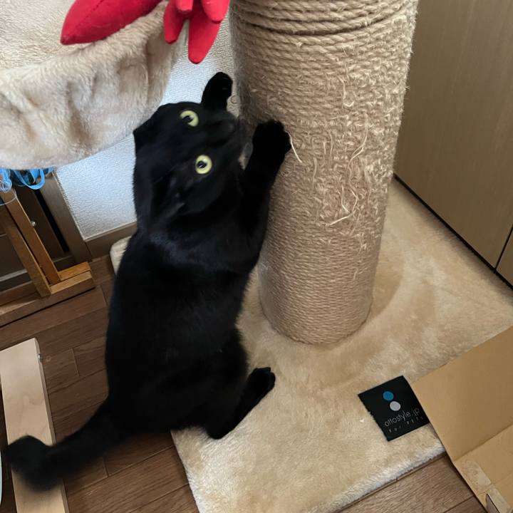 Aaa7626f 61ca 4d2e 8138 8d0b37e77e35 1727823824502