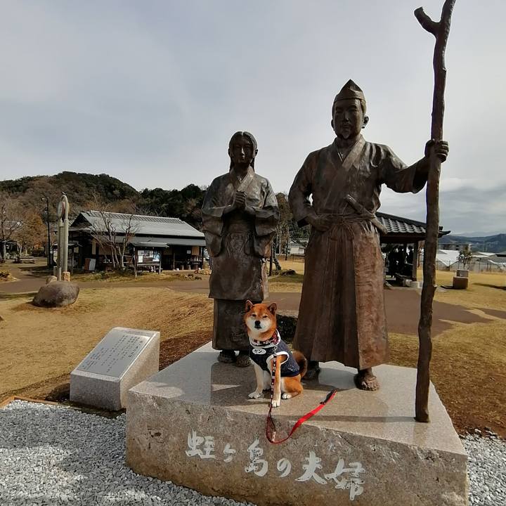 Aaa76966 331d 4e21 bd9c 65dfe887c0e0 1648038997319