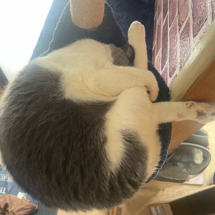 Aaa77ec8 51df 401f bf6d eac994c49721 1740363995058