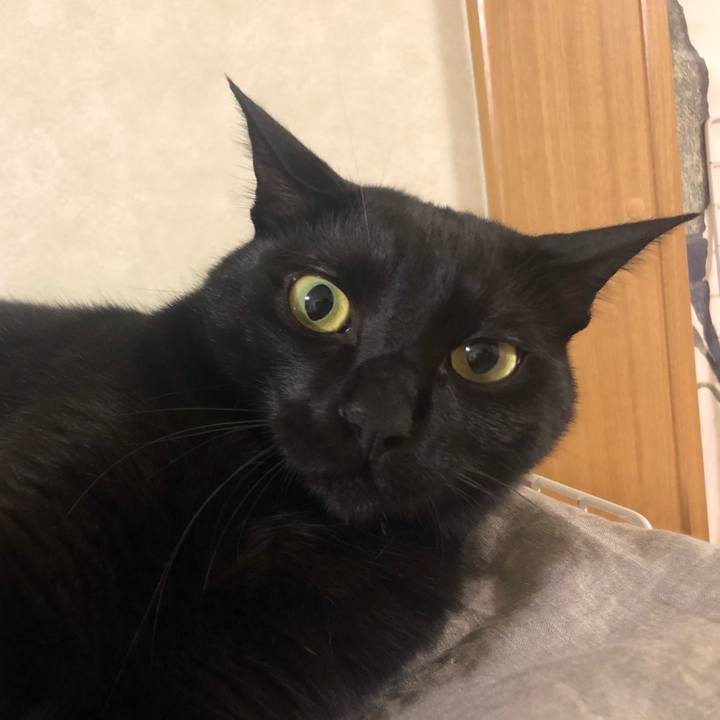 Aaa7863e bd96 4d89 ac2c 250f51381e54 1561881960081