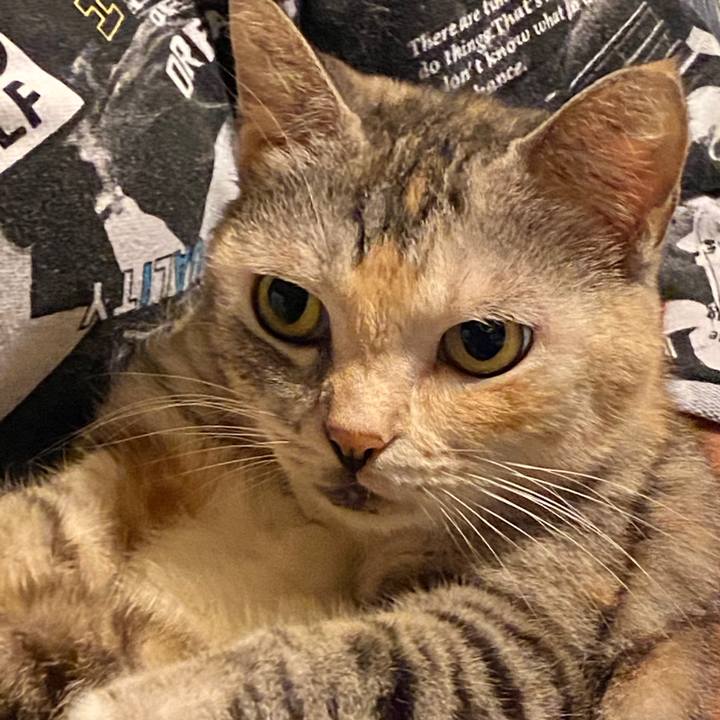 Aaa802ed c2c8 4cde bab3 279e1b433ecb 1600784581862