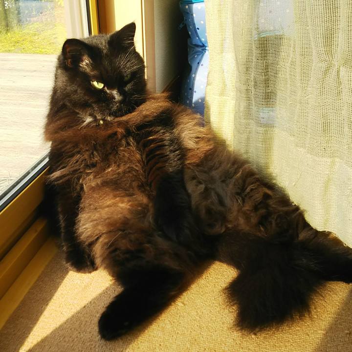 Aaa84a91 b010 463a 8a29 947f28b61a69 1538522447504