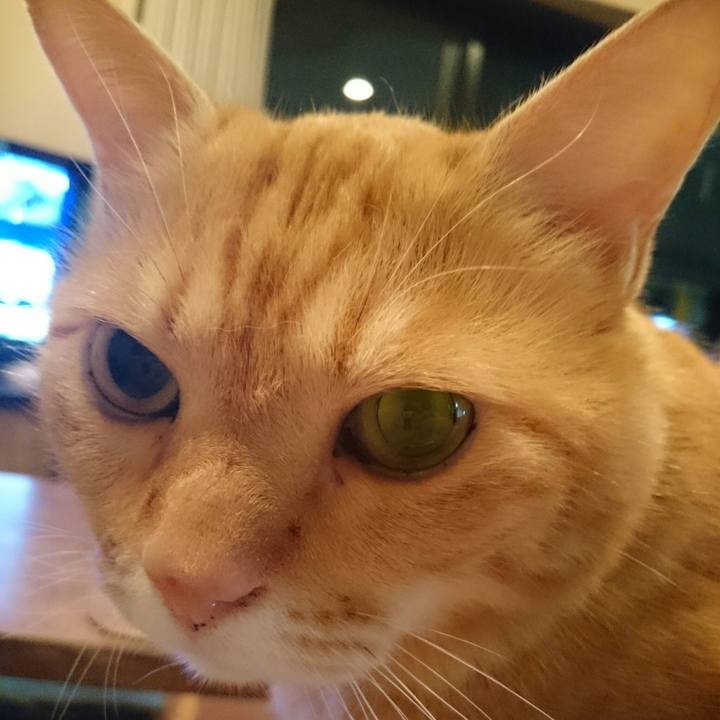 Aaa8530e 5def 4c57 a50c f1c5c14342f9 1536285958980