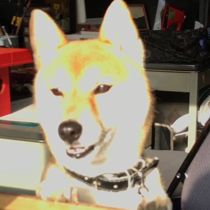 Aaa87efd d341 4b7e ad0f 3ed5bfcc344c 1522664677966