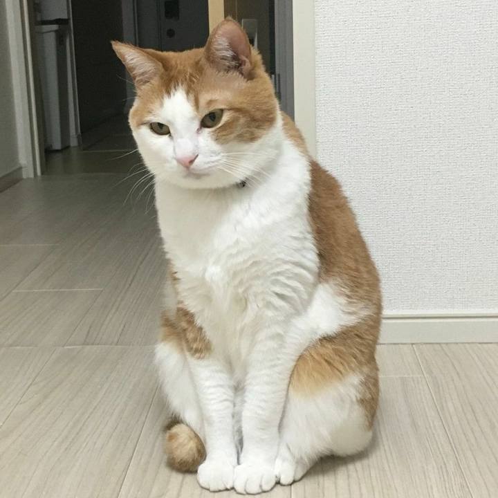 Aaa88a56 8d72 4ae0 8298 9e011fab6fc0 1555933403335