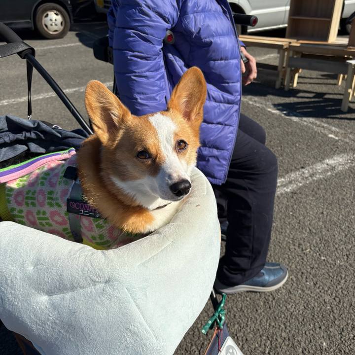 Aaa8a07a 37ee 41d1 898f bf371d00a6ac 1769915409329