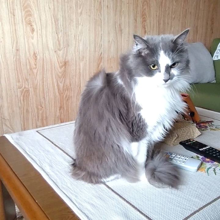 Aaa8a49b 9b0f 4bcc b5bf 86e3f607bc06 1644053948498