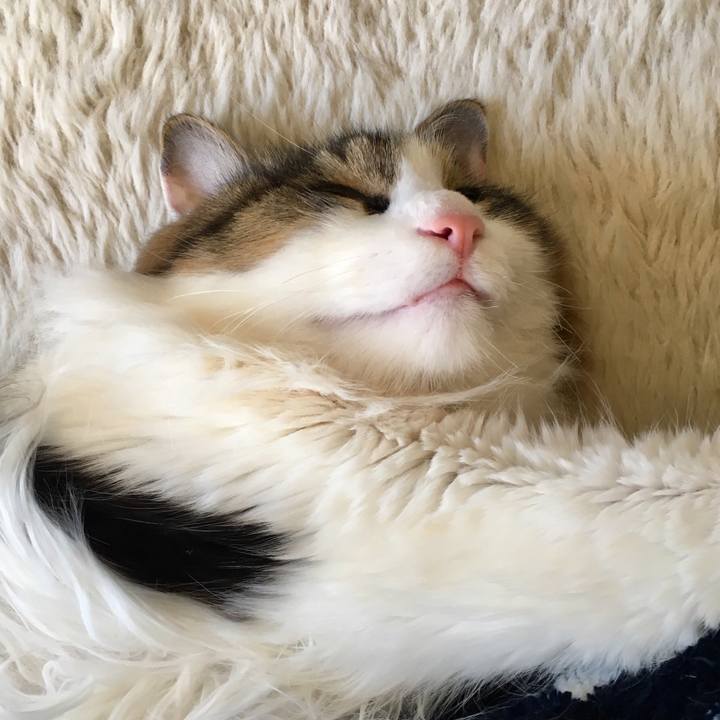 Aaa8d272 d738 4b6e 8816 beb3afa2a061 1519022895788