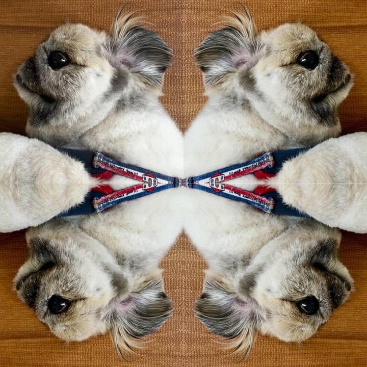 Aaa8e97c 7cde 4af3 8a61 521cf0caac47 1774247405573