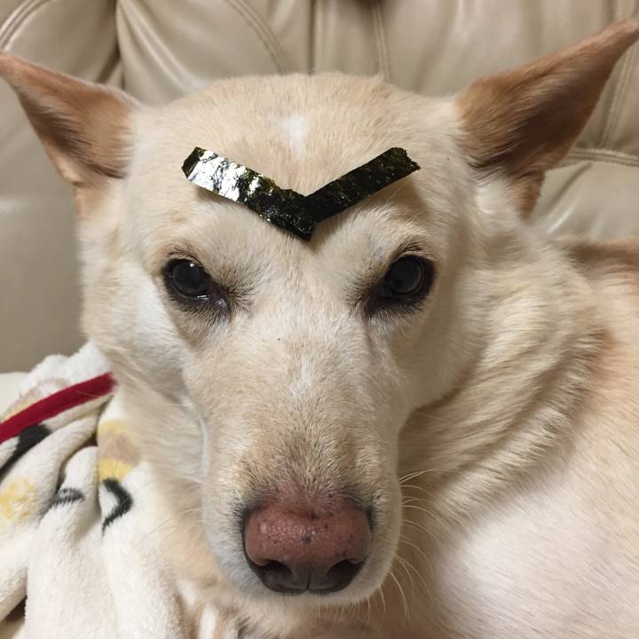 Aaa9139e aab5 421e a2b2 cc187a239461 1518270971070