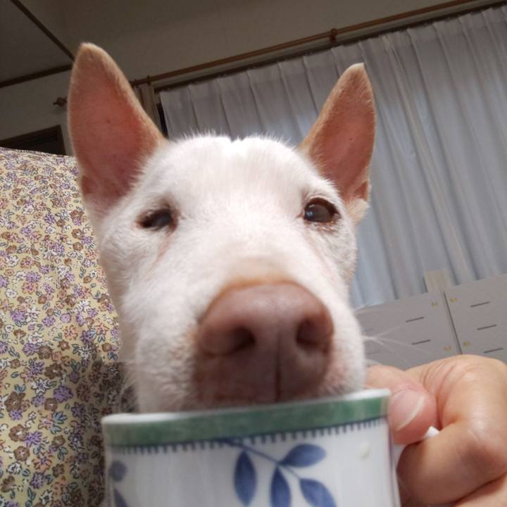 Aaa97498 0c2c 47f4 b357 c51e96c2629e 1567031738915