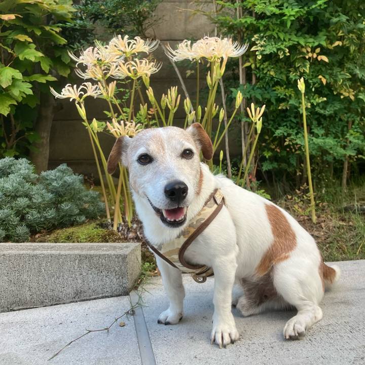 Aaa99f6f 63b9 41d2 a3c4 c73404256888 1758844402392