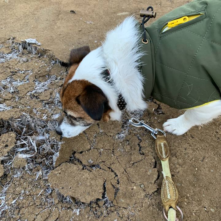 Aaa9b723 2e44 4f2e af26 28ff6b49d760 1581032271522